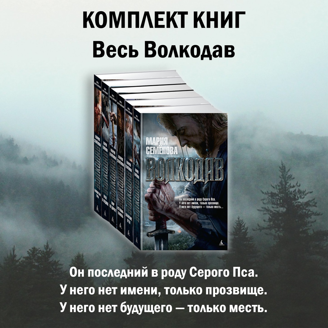 

Волкодав Истовик-камень, Мир по дороге, Право на поединок, Самоцветные горы, Знамение пути