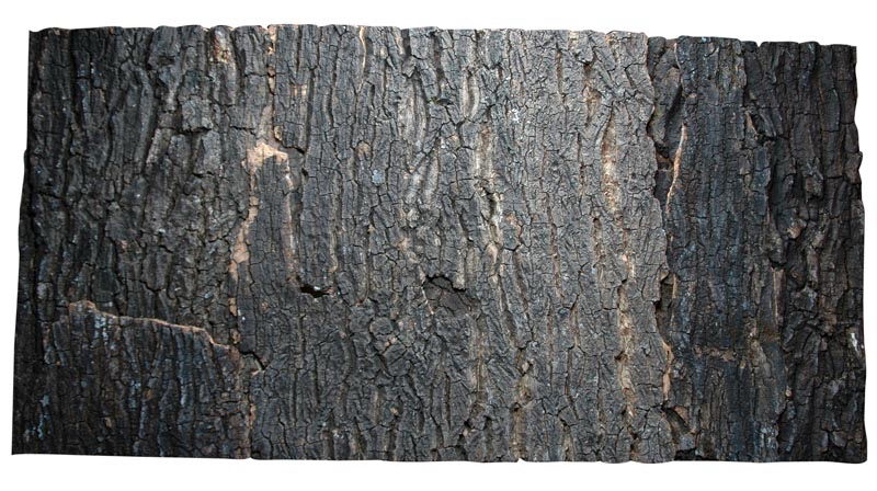 фото Натуральный фон из коры пробкового дерева lucky reptile "dark", 42х28см (германия)