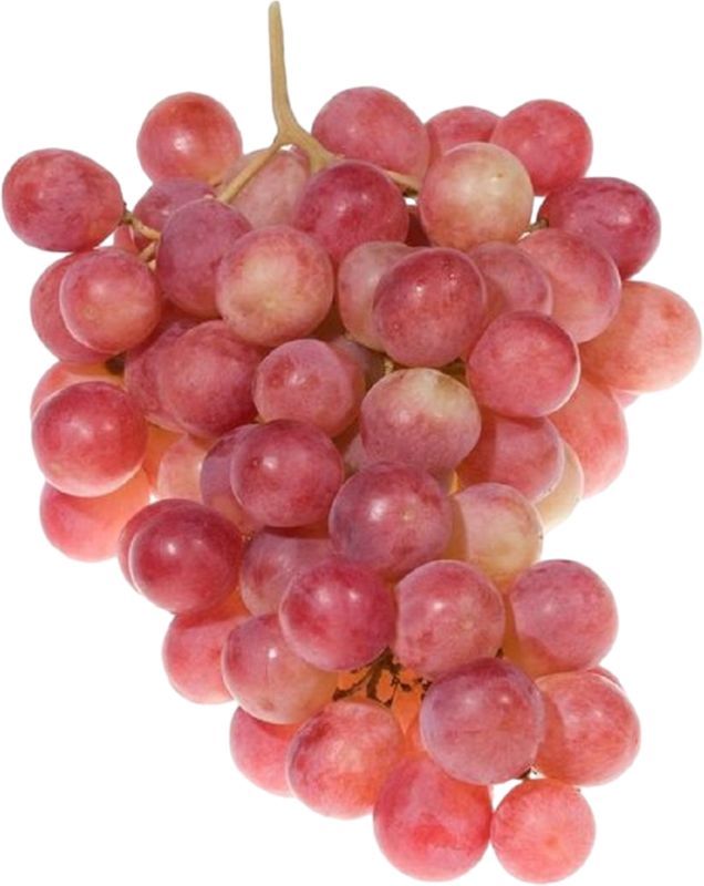 

Виноград Тайфи розовый