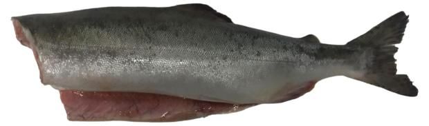 

Кижуч потрошенный охлажденный +-1 кг