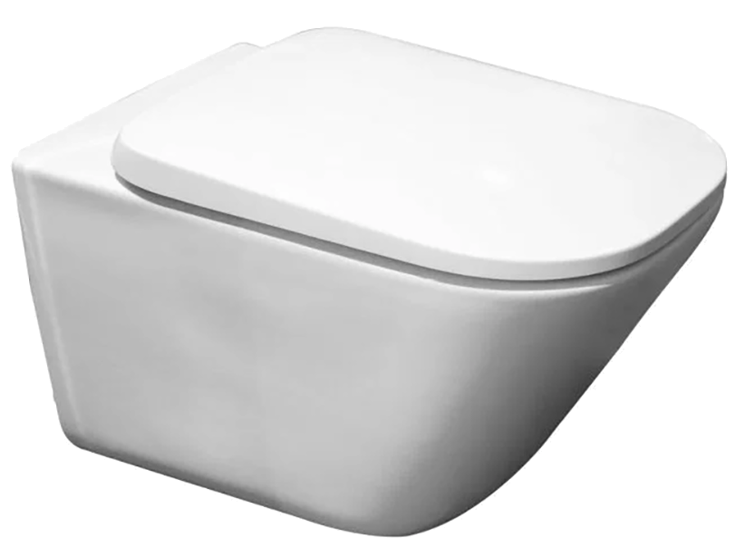 

Унитаз подвесной Roca Gap 34647L000 безободковый, с микролифтом, Белый, Gap 34647L000 безободковый, с микролифтом