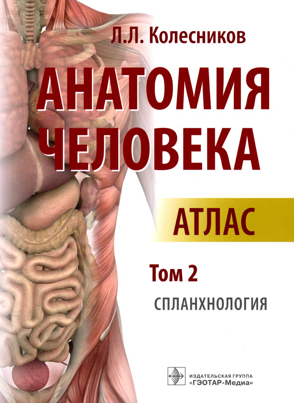 Атлас анатомия человека том 2. Атлас анатомии человека Колесников. Колесников атлас по анатомии 2 том. Колесников анатомия человека атлас том 3. Колесников анатомия человека 1 том.