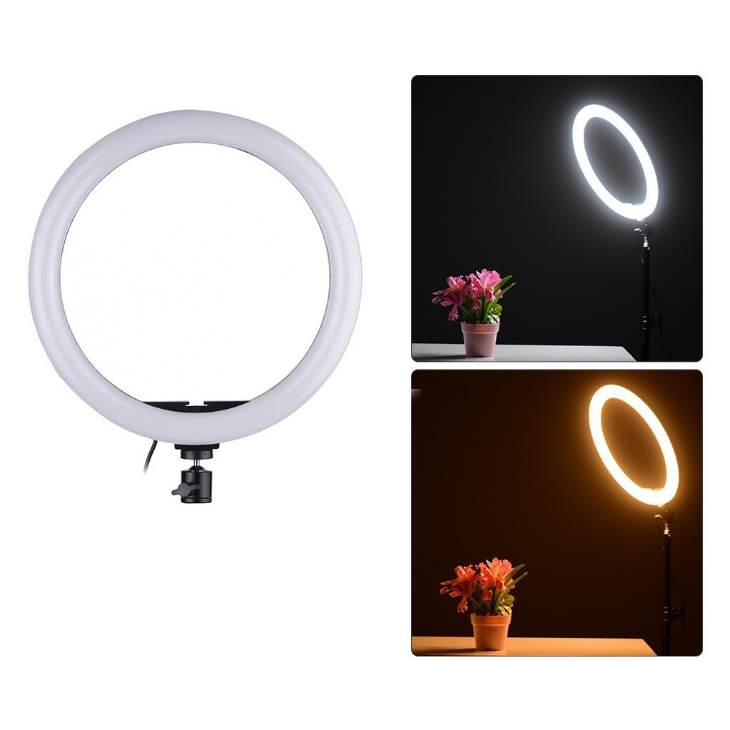 фото Светодиодная кольцевая лампа led ring fill light 26 см (белый) daprivet