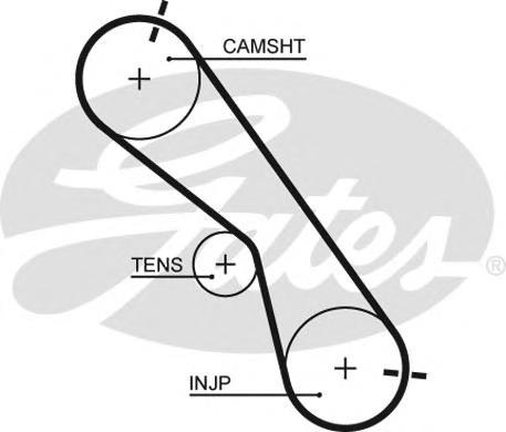 

Ремень Gates 5560XS