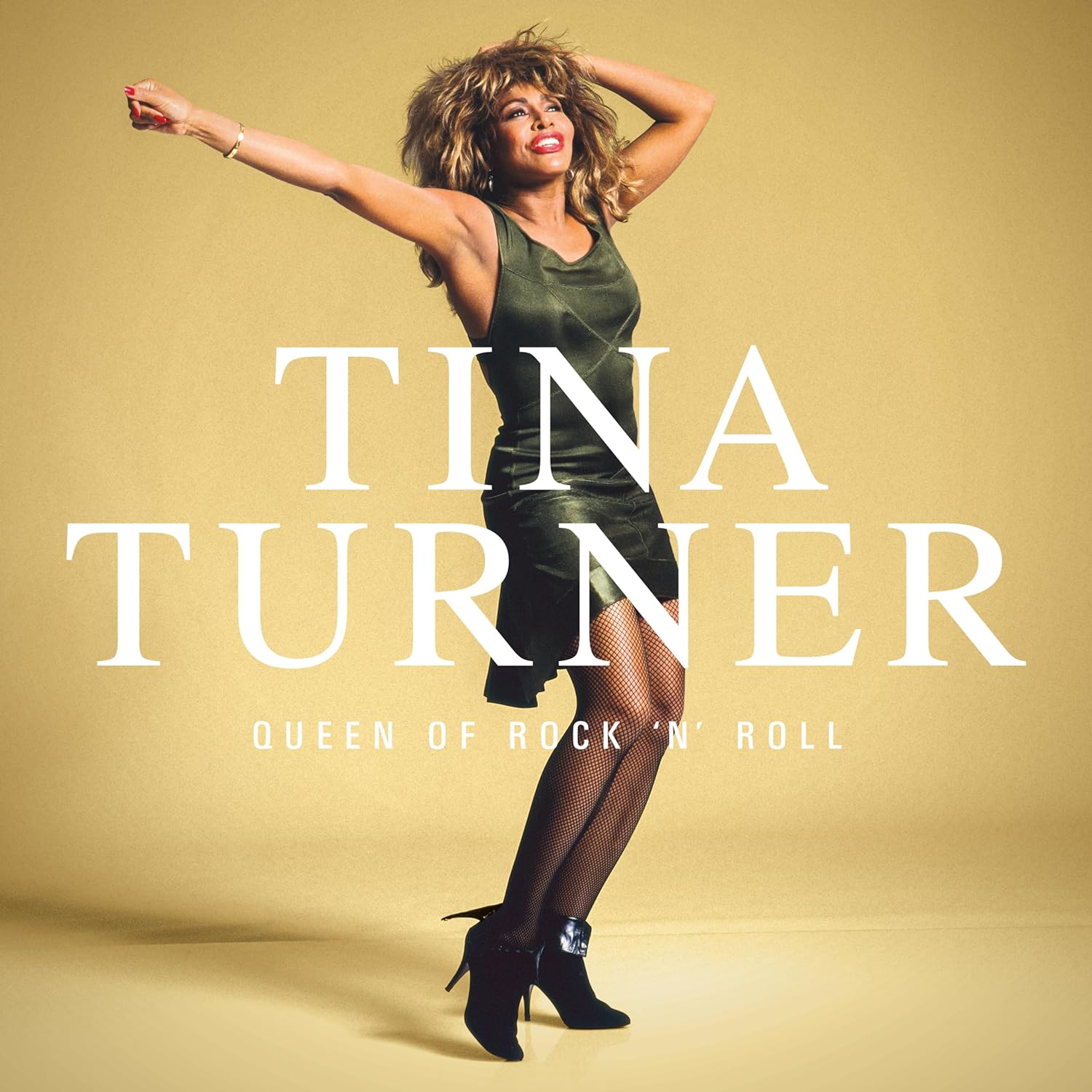 Tina Turner Queen Of Rock N Roll (LP) 600014780618