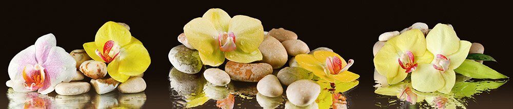 

Cтеновая панель Albico 2800х610х6 мм М-33