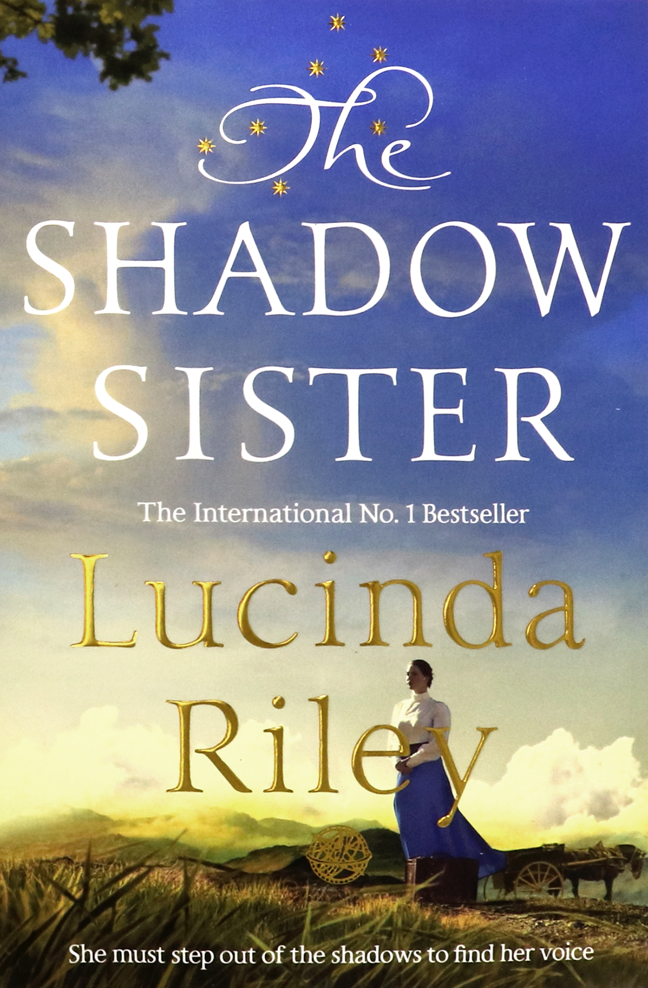 

The Shadow Sister