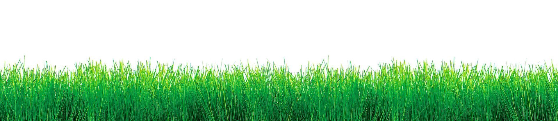 

Cтеновая панель Albico 2800х610х6 мм SP 146