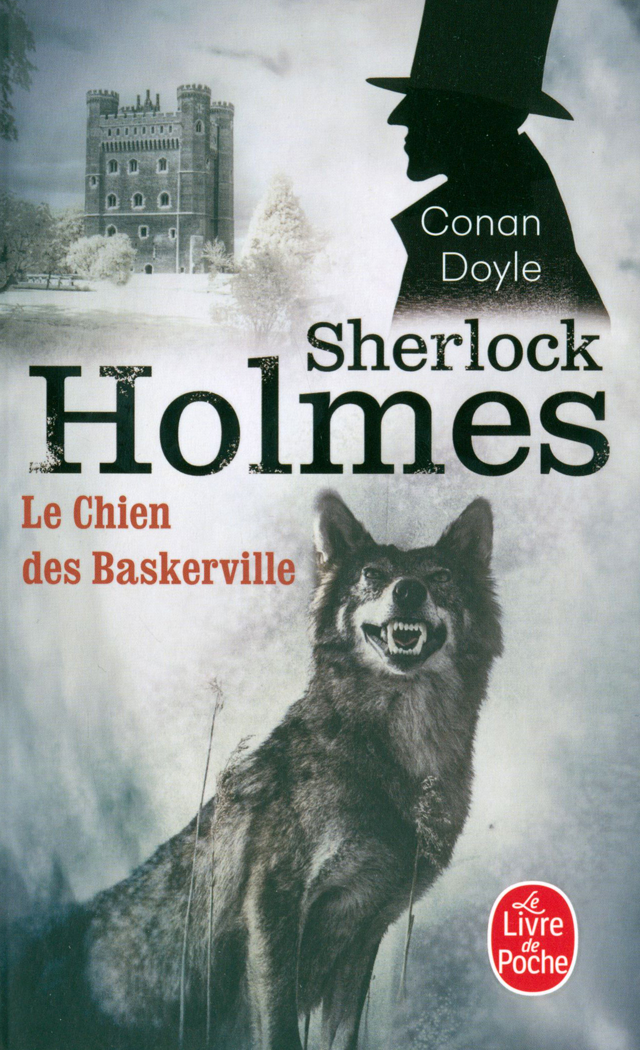 

Le Chien des Baskerville