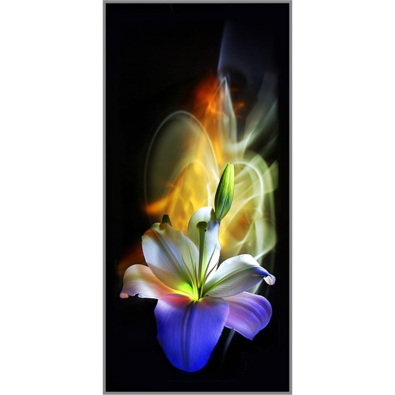 Алмазная вышивка Milato Цветочное сияние, 30x60