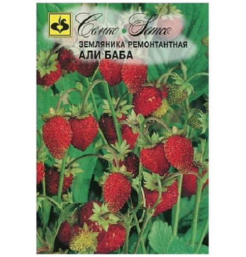 Семена клубника Али Баба Семко Раннеспелые 62388 1 упаковки