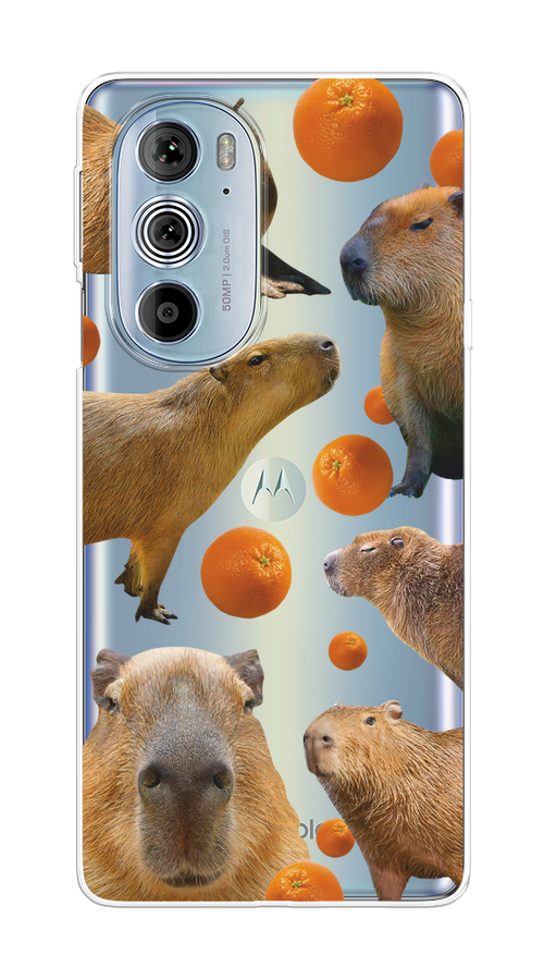 

Чехол на Motorola Edge 30 Pro "Капибара и апельсины", Бежевый;оранжевый, 243350-1