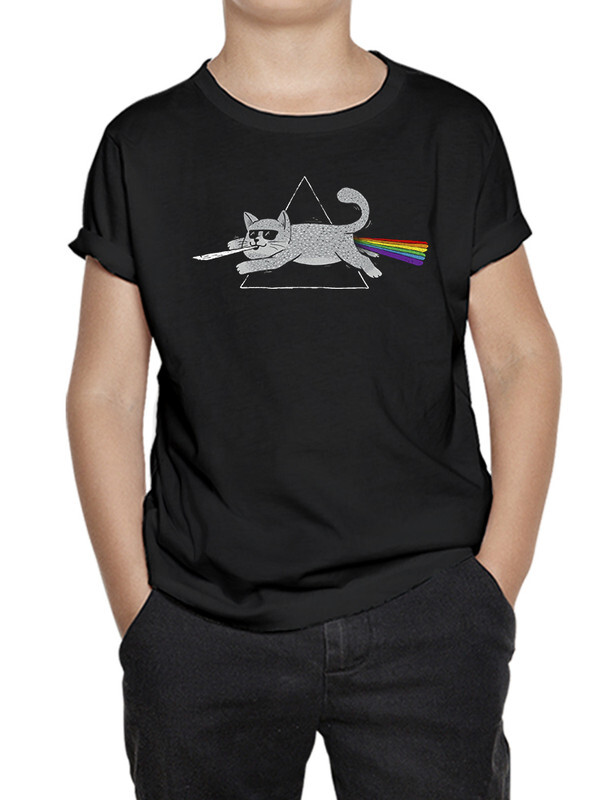 фото Футболка д/мальч. dreamshirts studio pink floyd с котом ы цв. черный р.98