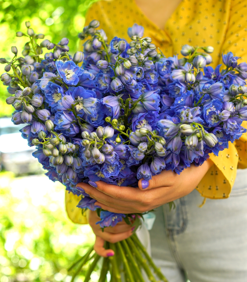 

Букет дельфиниума 19 шт Sfloristic , 50 см