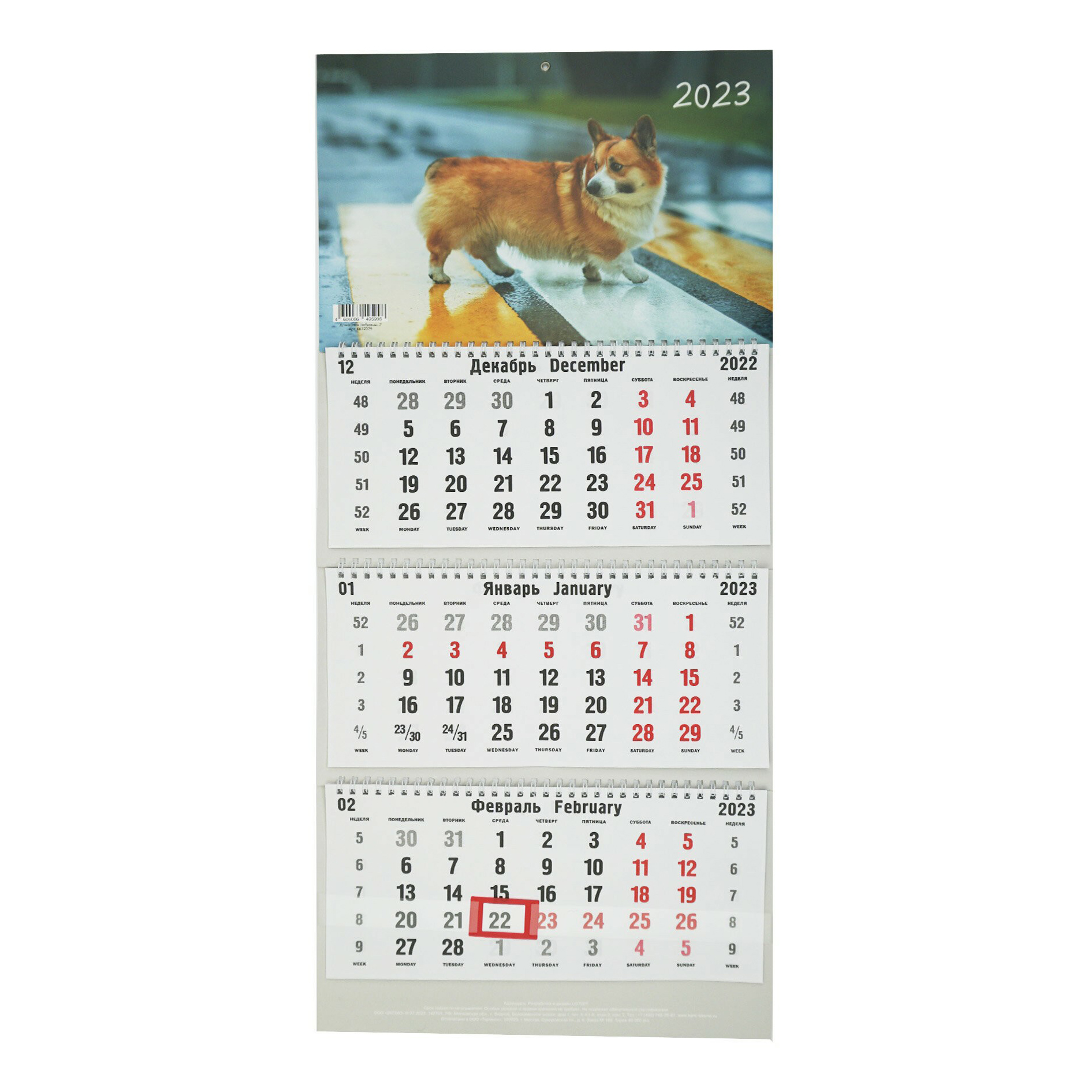 

Календарь настенный Домашние любимцы на 2023 год на евроспирали 30,5 х 20,1 см