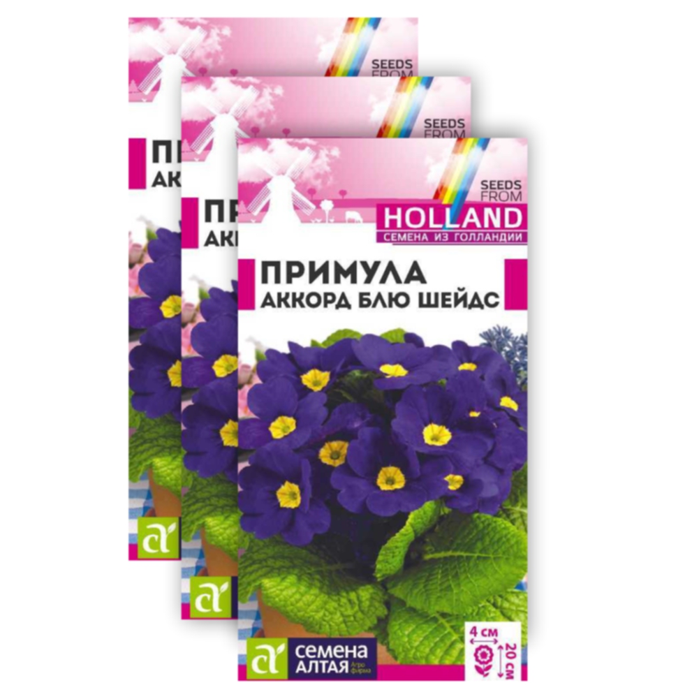 

Комплект Семена Примула Аккорд Блю шейдс Голландия Семена Алтая 23-02097 5 семян в уп 3 уп, Комплект Семена Примула Аккорд Блю шейдс Голландия Двулетние 5 шт./упак. х 3 упак.