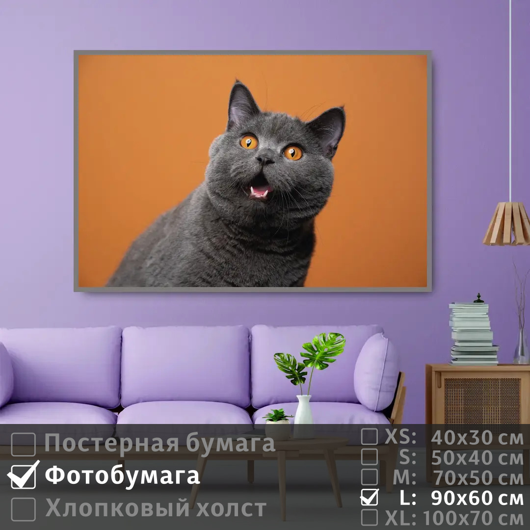 

Постер на фотобумаге ПолиЦентр Серый британский кот 90х60 см, СерыйБританскийКот