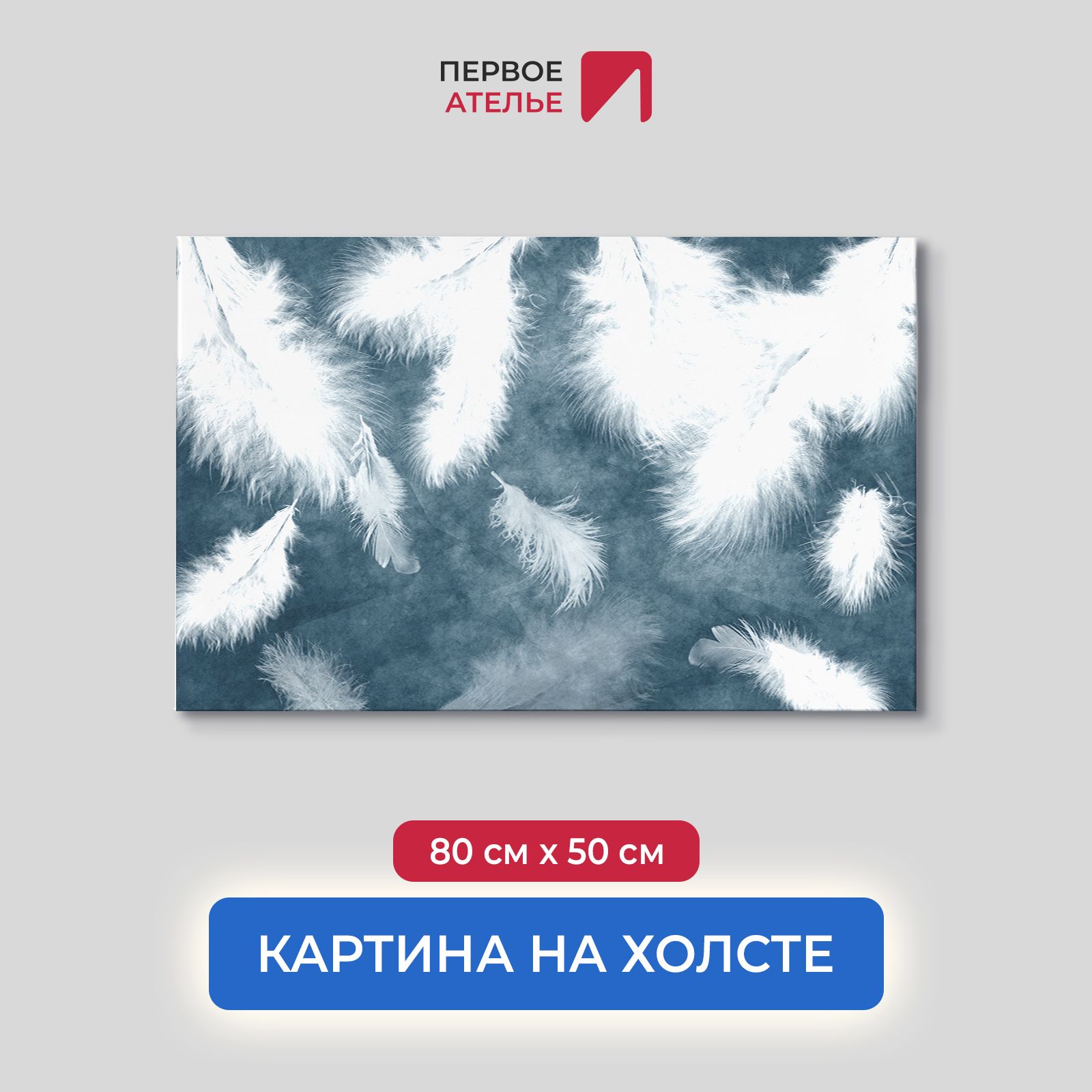 

Картина для интерьера ПЕРВОЕ АТЕЛЬЕ "Пушистые перья на темно-сером фоне" 80х50 см, Пушистые перья на темно-сером фоне