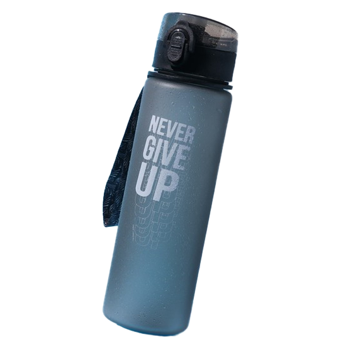 

Бутылка Svoboda Voli Never Give up 600 мл черный, Черный;серый, Never Give up