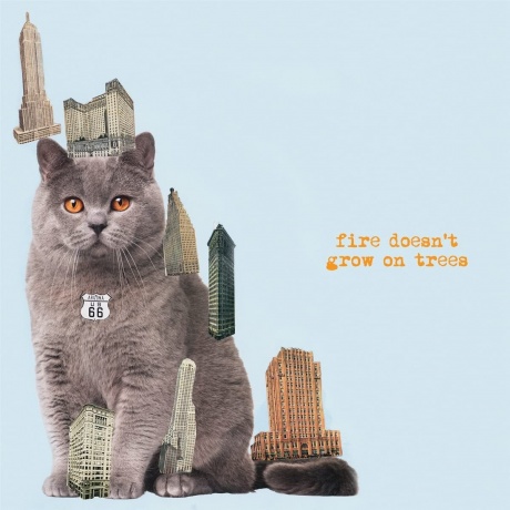 

THE BRIAN JONESTOWN MASSACRE - Fire Doesn't Grow On Trees