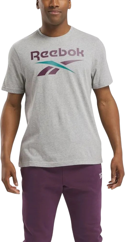 

Футболка мужская Reebok IDENTITY BIG LOGO TEE серая XS, Серый, IDENTITY BIG LOGO TEE