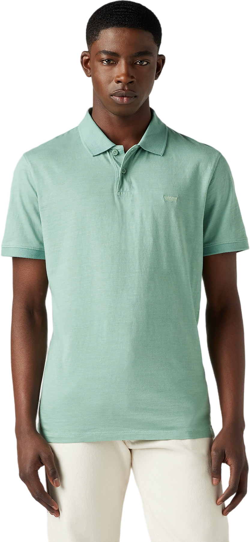 

Футболка мужская Levi's Men Slim Housemark Polo Shirt зеленая XXL, Зеленый, Men Slim Housemark Polo Shirt