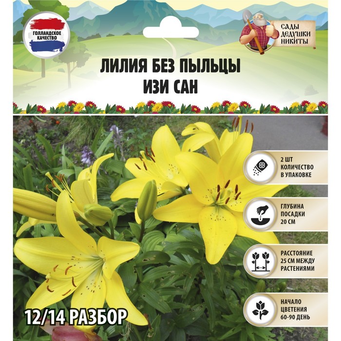 

Луковицы лилия Сады Дедушки Никиты Easy Sun 9492106 2 шт.