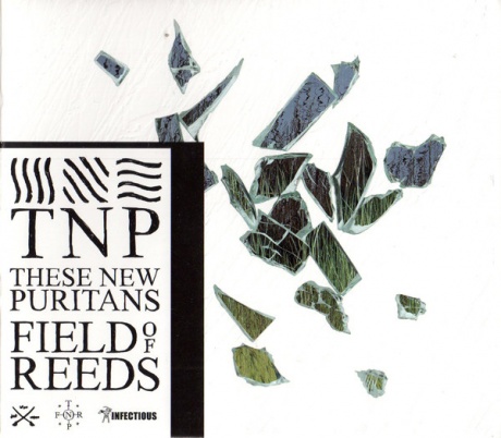 

THESE NEW PURITANS - Field Of Reeds