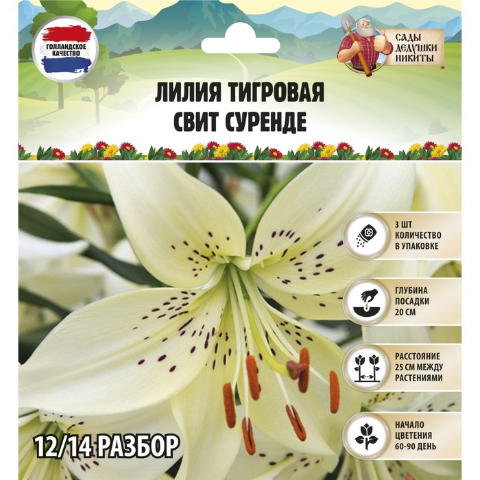 

Луковицы лилия Сады Дедушки Никиты Свит Суренде 3281594 3 шт.
