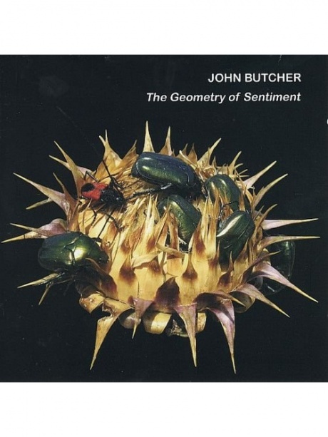 JOHN BUTCHER - The Geometry Of Sentiment