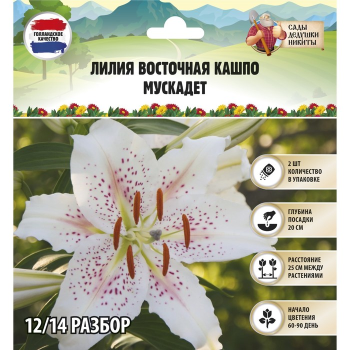 

Луковицы лилия Сады Дедушки Никиты Muscadet 9492154 2 шт.