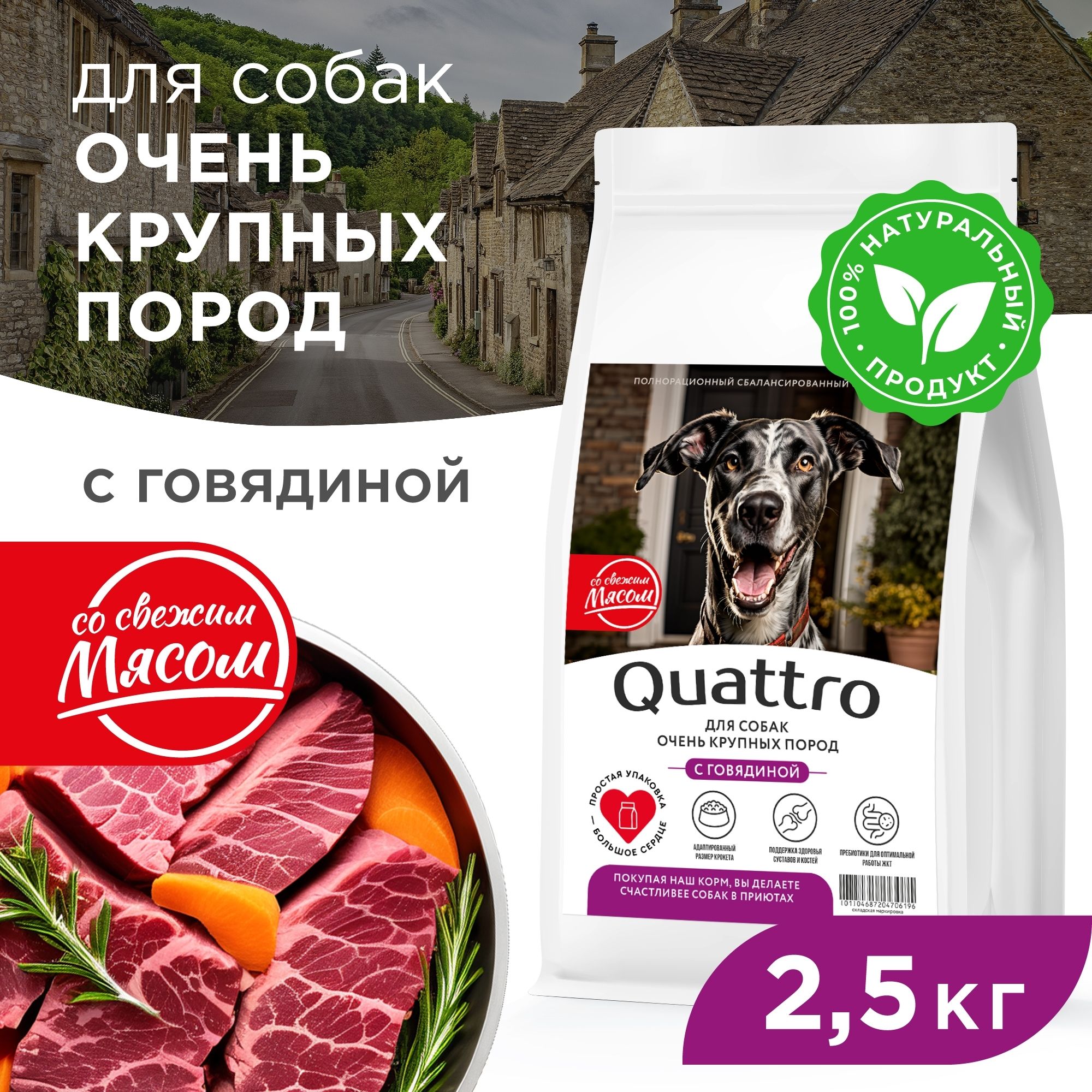 

Сухой корм для собак QUATTRO, для очень крупных пород, говядина, 2,5 кг