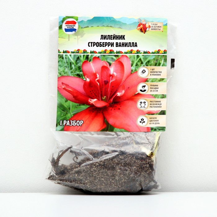 

Клубни лилейник Сады Дедушки Никиты Strawberry Vanilla 9492053 1 шт.