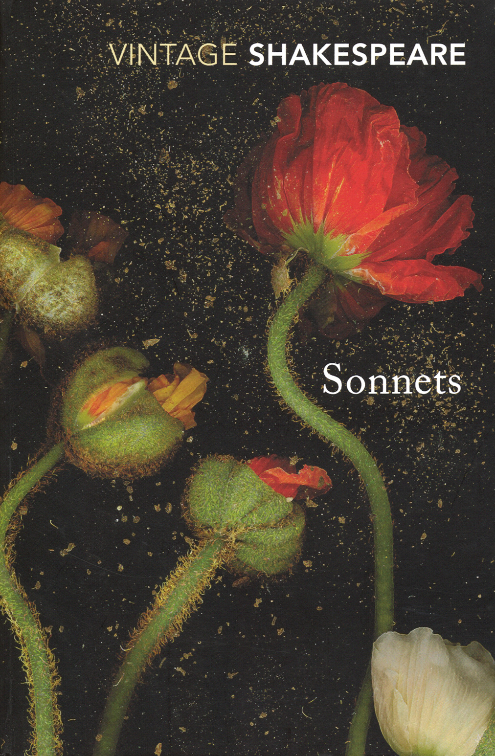 

Sonnets