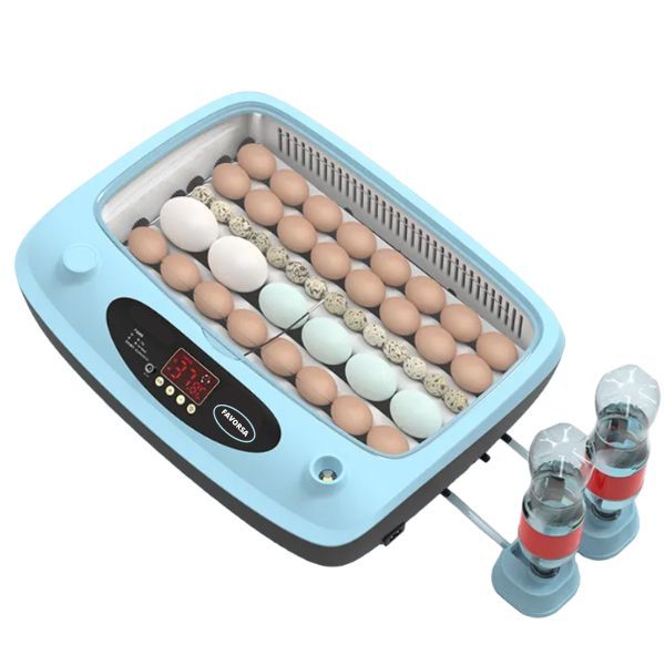 Инкубатор для яиц Favorsa автоматический, 40 яиц, с вентилятором и овоскопом, 220В, 12В