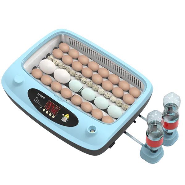 Инкубатор для яиц Favorsa автоматический, 40 яиц, с вентилятором и овоскопом, 220В, 12В