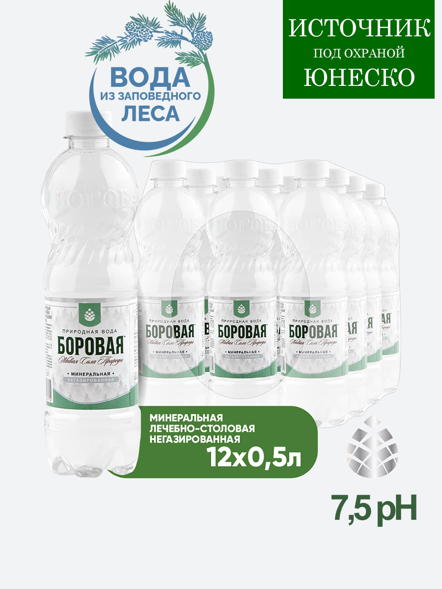 

Вода BOROVAYA (БОРОВАЯ), лечебно-столовая минеральная, негазированная, ПЭТ 0.5 л (12 штук)