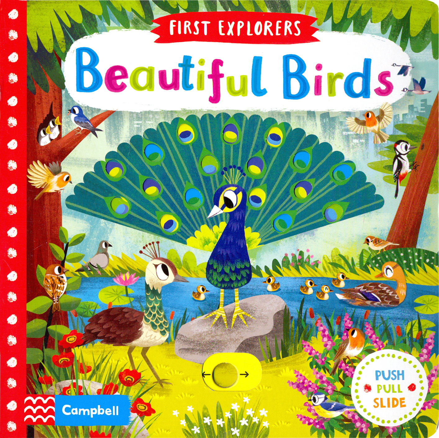 

Beautiful Birds
