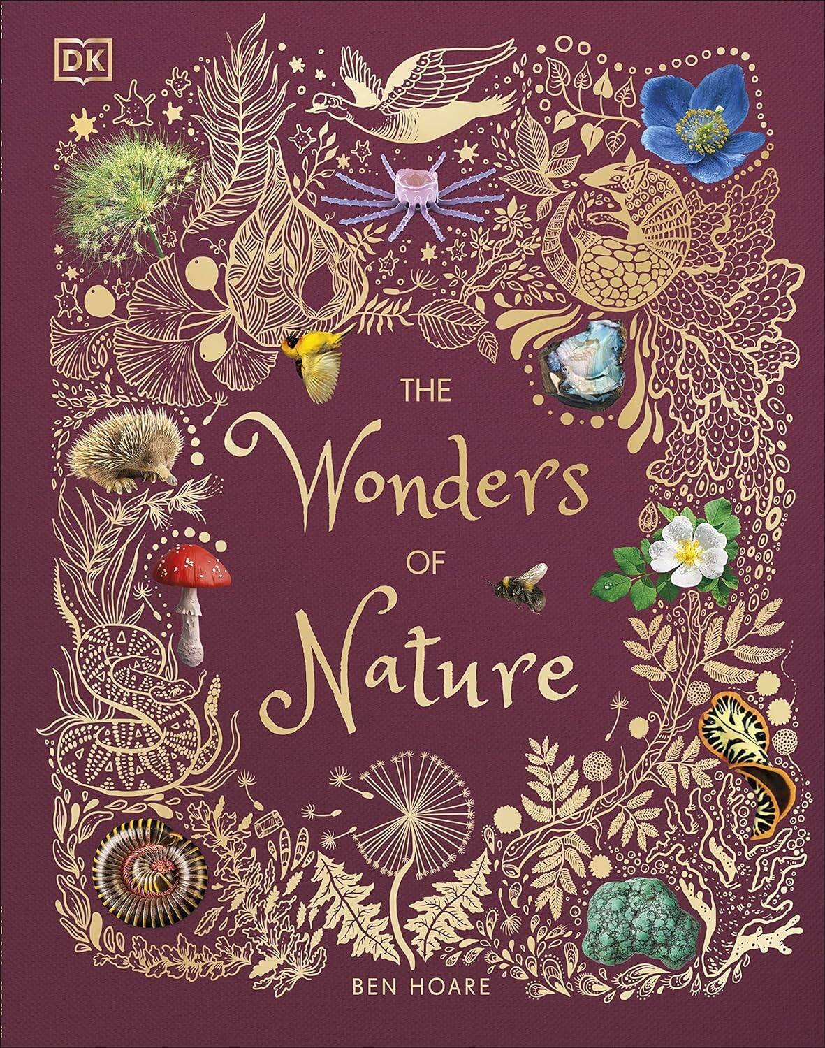 

The Wonders of Nature