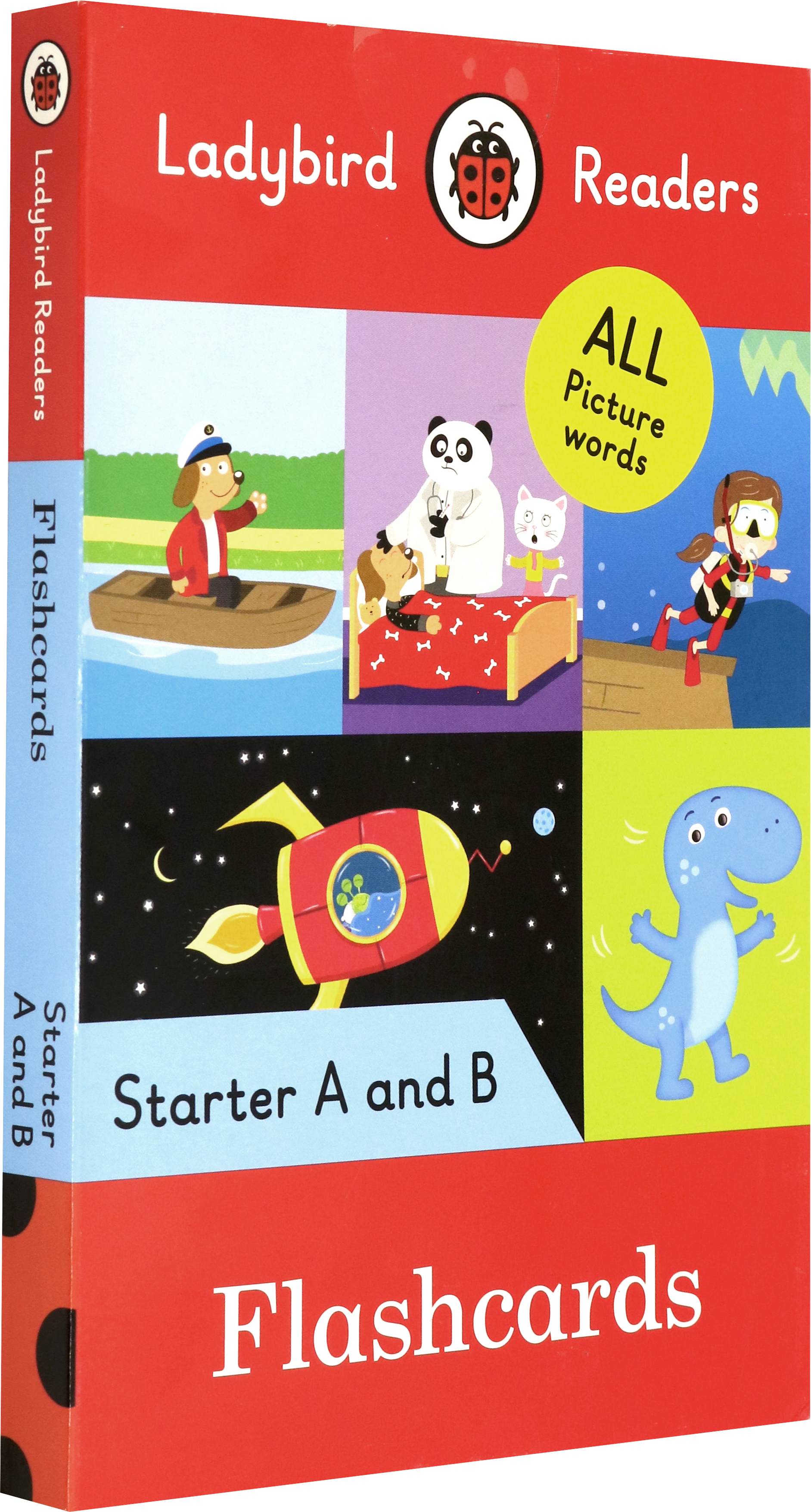 

Flashcards. Starter A and B