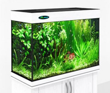 

Аквариум для рыб Zelaqua,, л