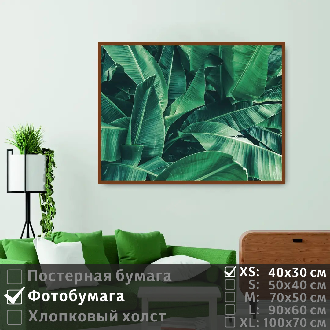 

Постер на фотобумаге ПолиЦентр Тропические банановые листья 40х30 см, ТропическиеБанановыеЛистья
