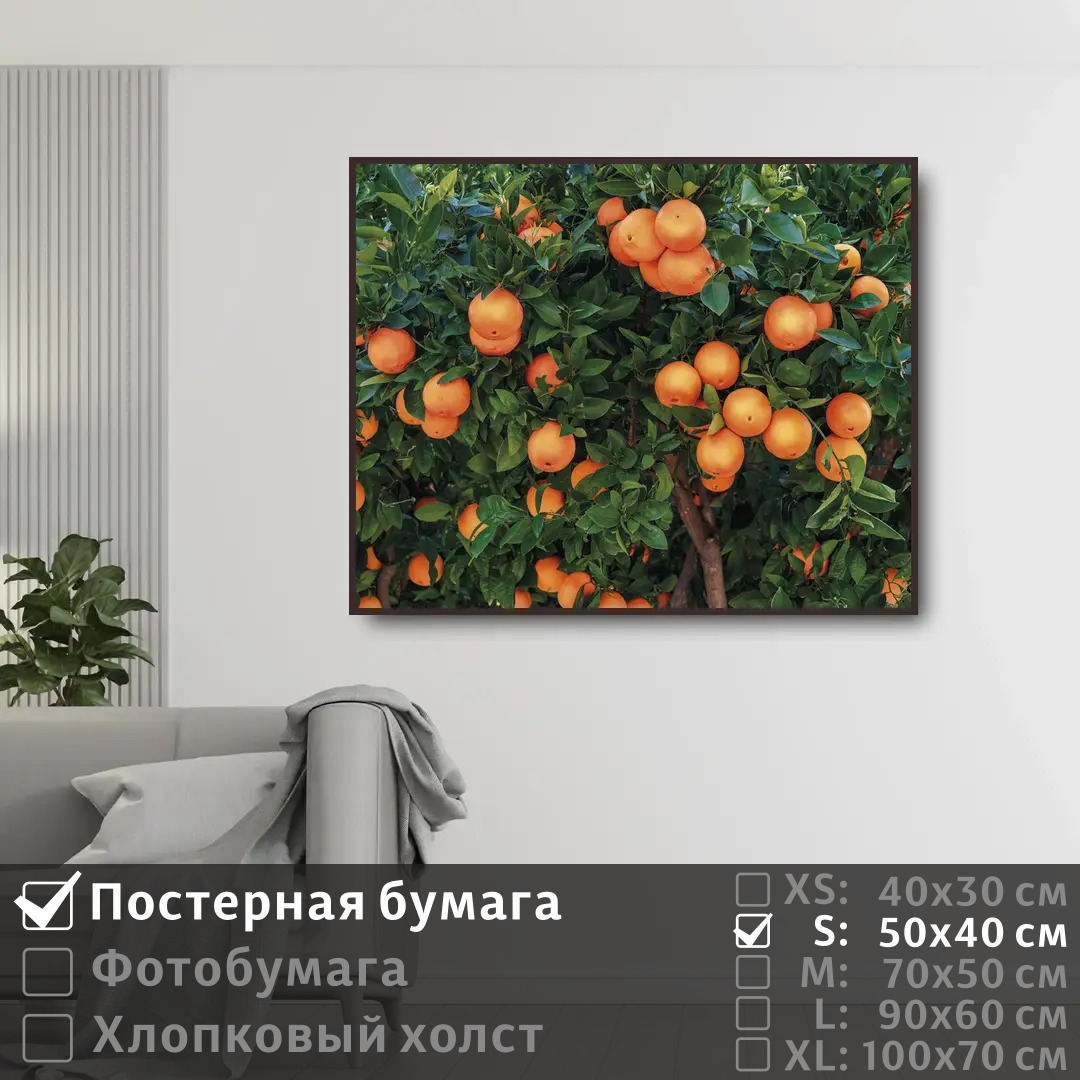 

Постер на стену ПолиЦентр Испанские апельсины 50х40 см, ИспанскиеАпельсины