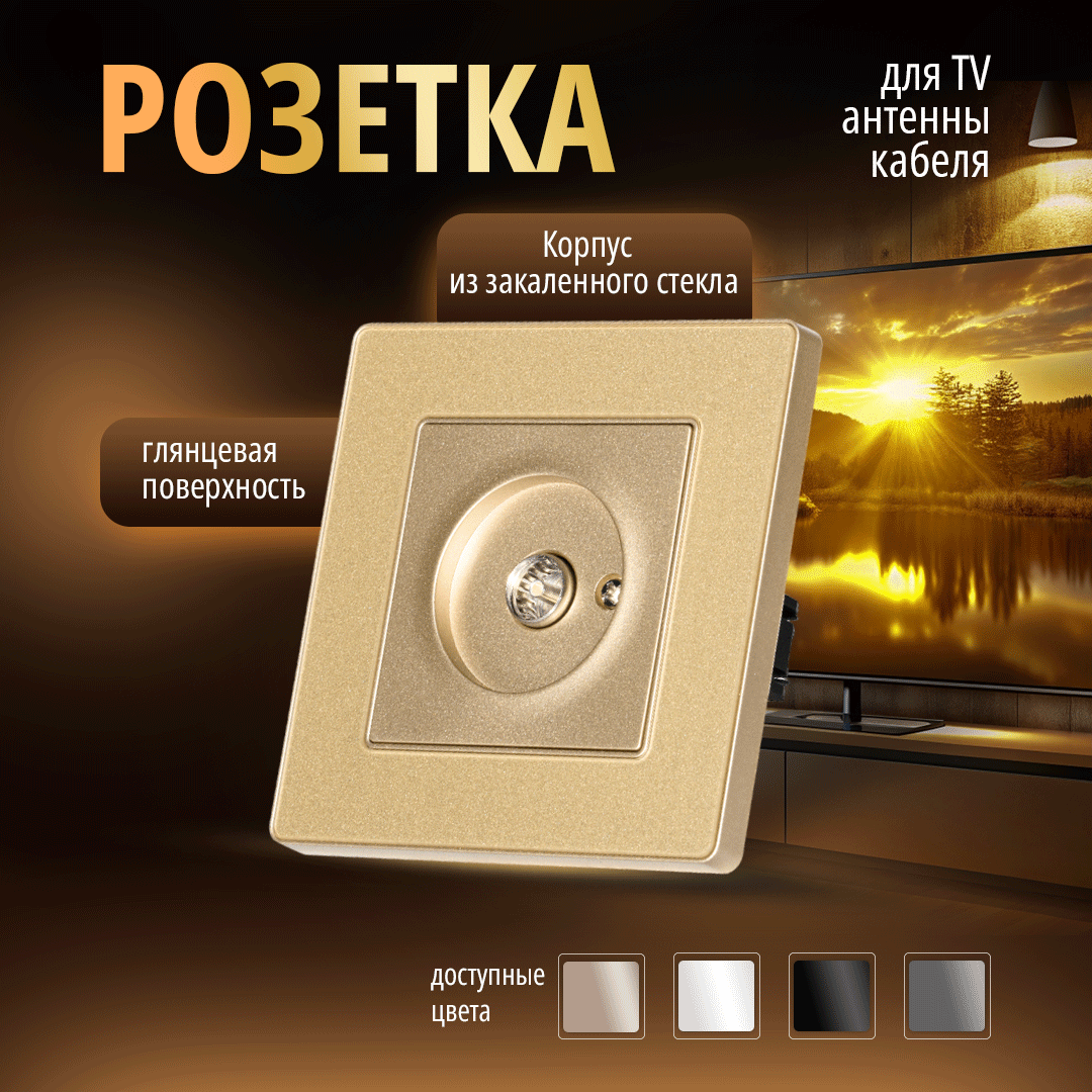 Розетка Bracket M2G TV Socket Gold