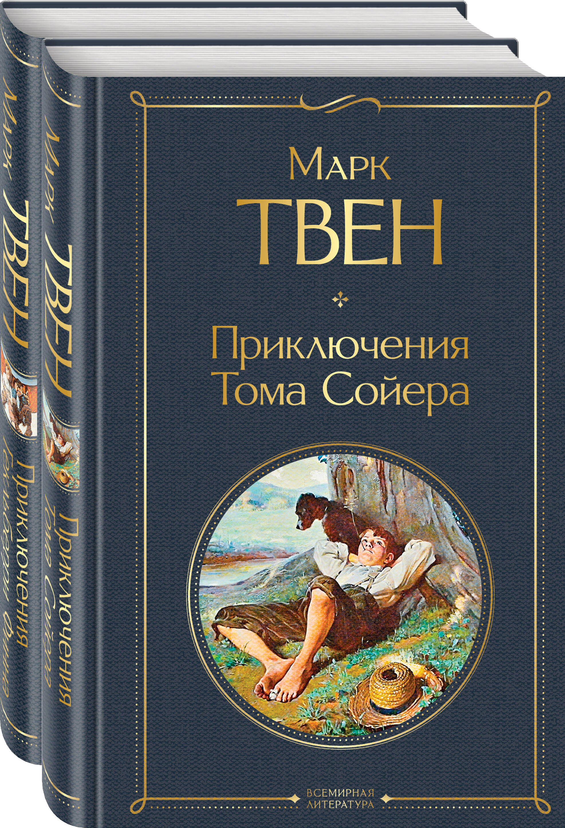 

Приключения Тома Сойера и Гекльберри Финна