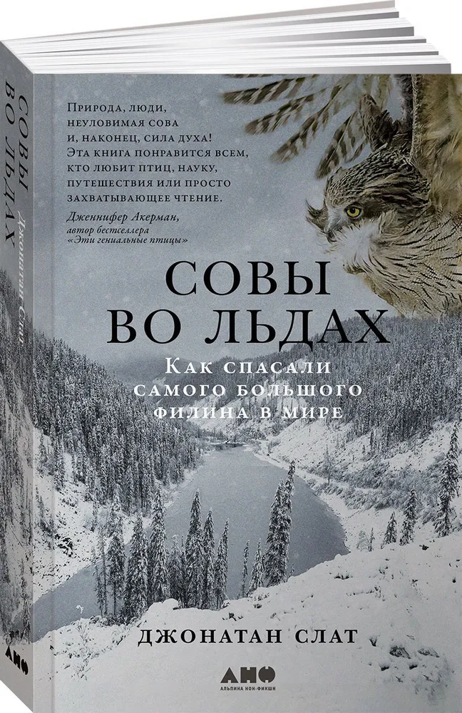 

Совы во льдах: Как спасали самого большого филина в мире