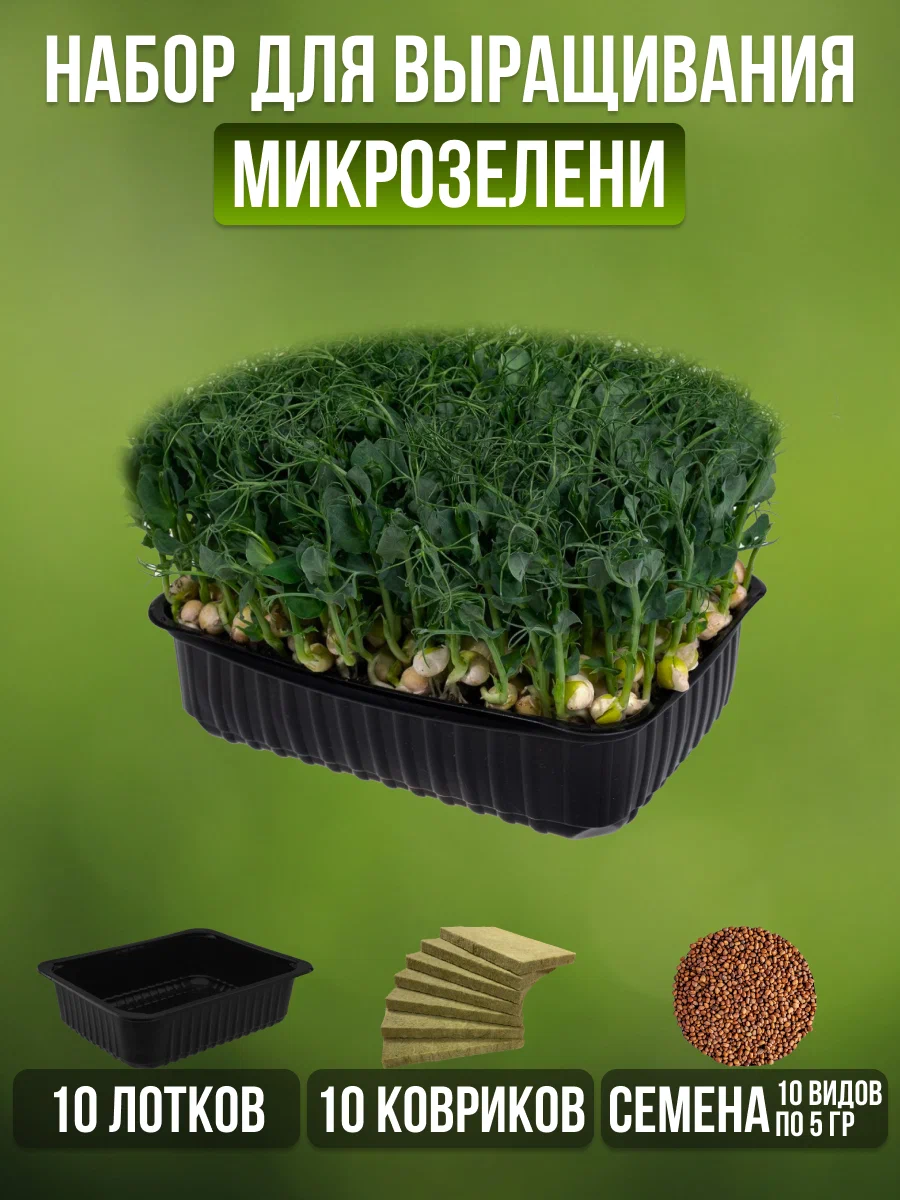 

Набор для выращивания микрозелени (с семенами) 208865251, Черный