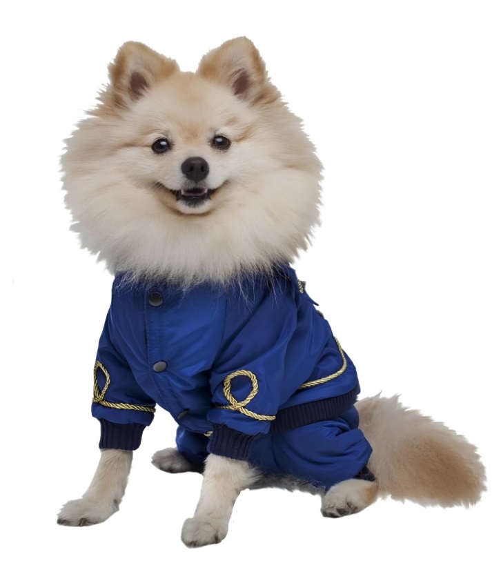 Одежда для собак DogVille комплект полукомбинезон и куртка на кнопках демисезон