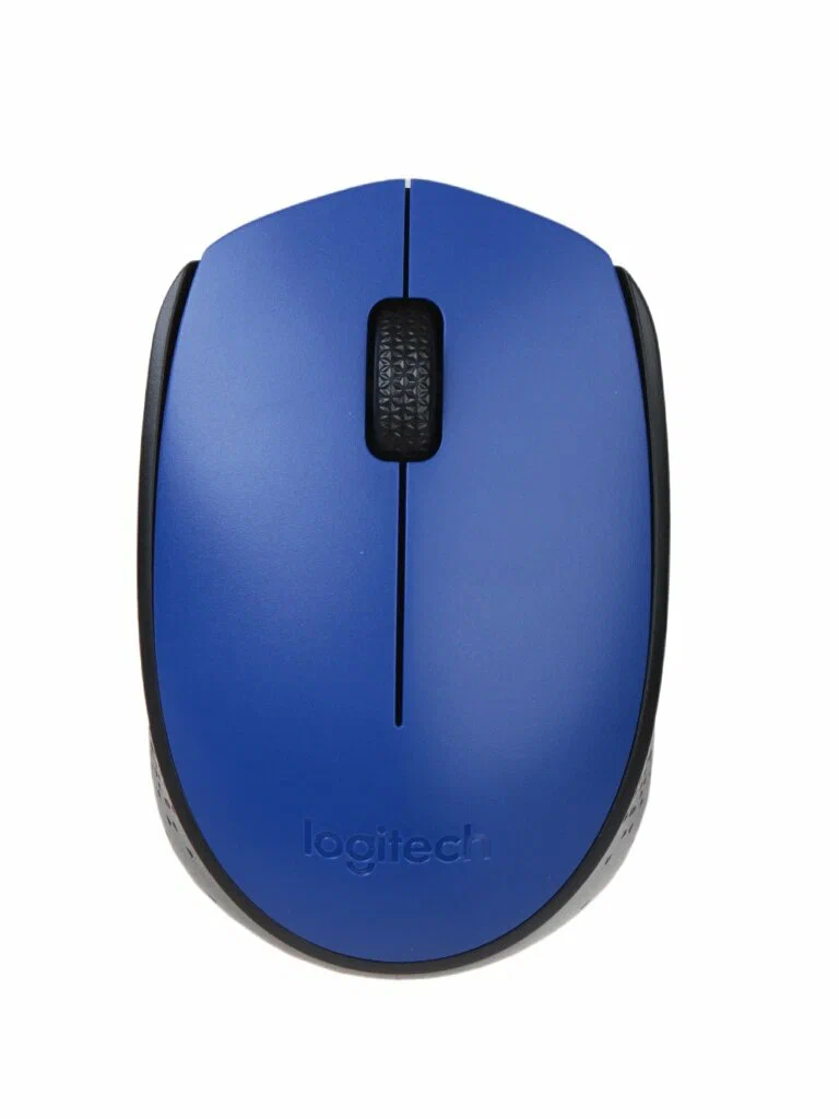 Беспроводная мышь Logitech M170 BLUE (910-004647)