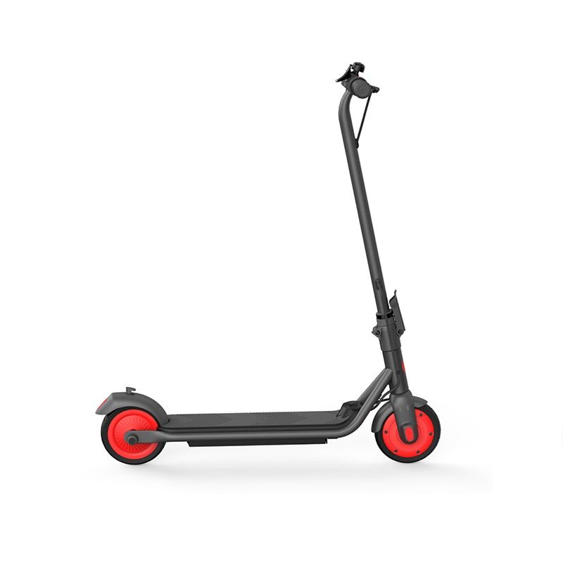 фото Электросамокат ninebot kickscooter c20